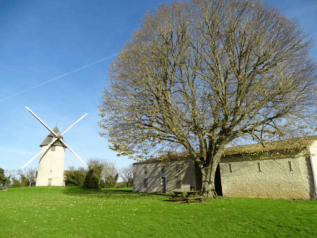 MOULIN ET MAISON DU MEUNIER