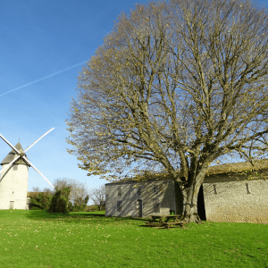 MOULIN ET MAISON DU MEUNIER