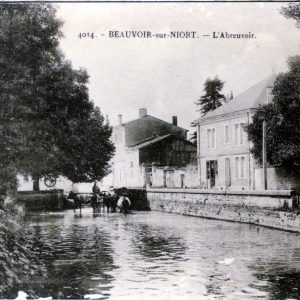 ANCIENNE MARE DE BEAUVOIR SUR NIORT